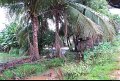 Vietnam - Cambodge - 0253